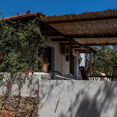 Sun&Sea Villas - Sea Vinglafia Bagian luar foto